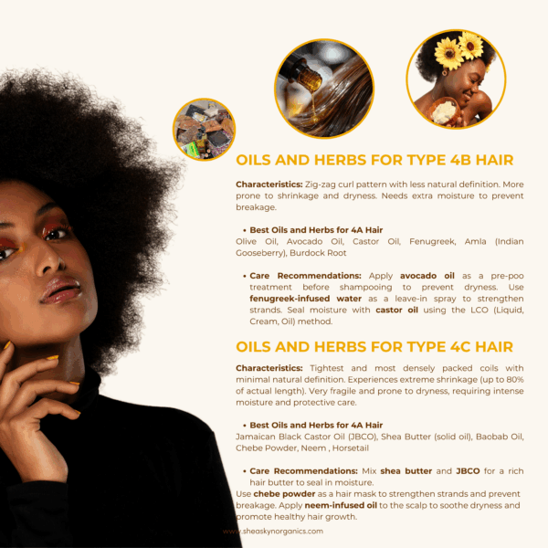 The Ultimate DIY Afro Hair Care Guide - Revitalize Hair Growth